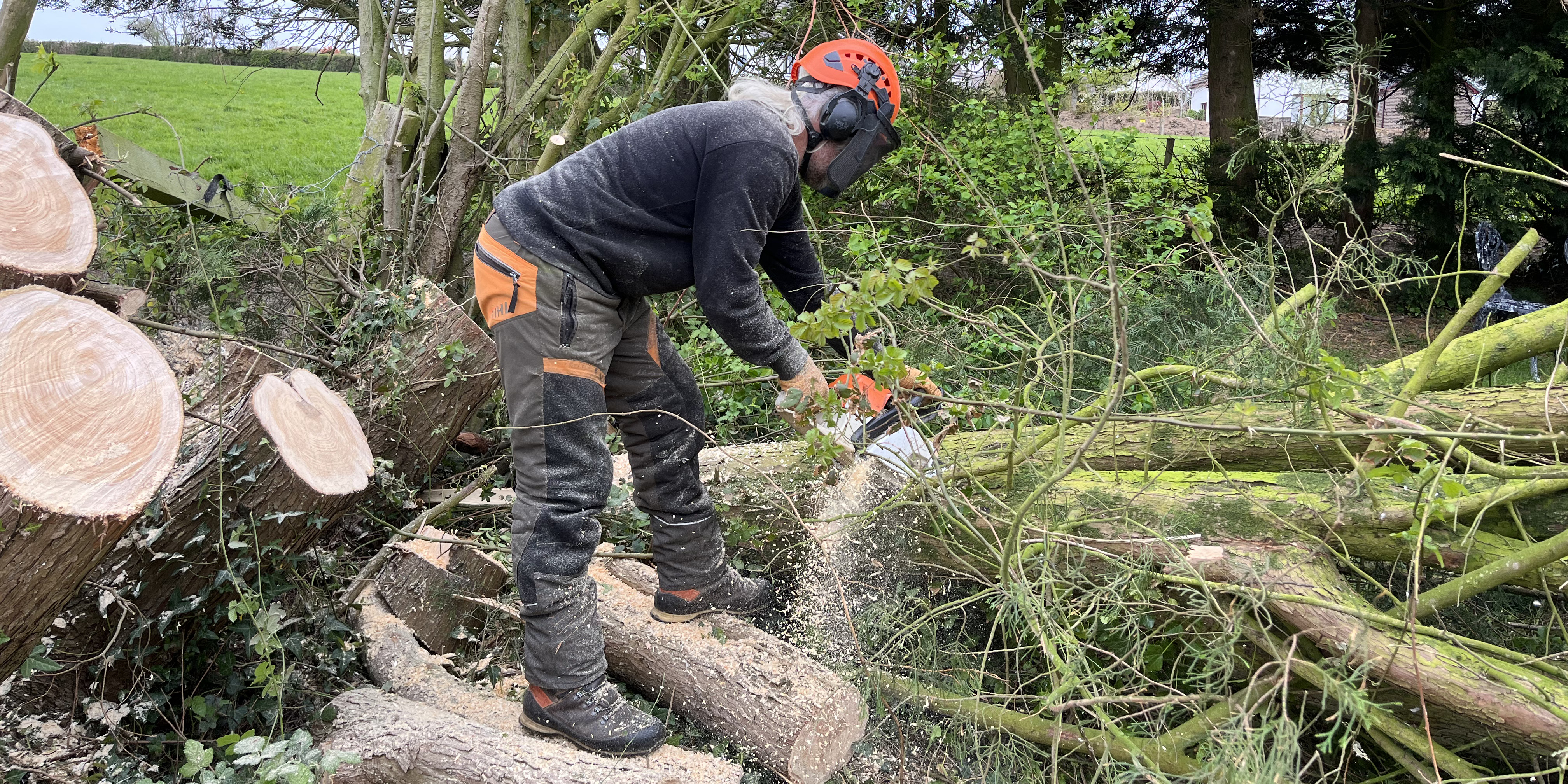 Woodentops Tree Care dealing with storm damaged trees.